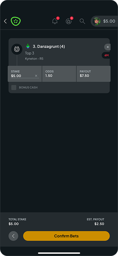 PlacingaBet_3.png